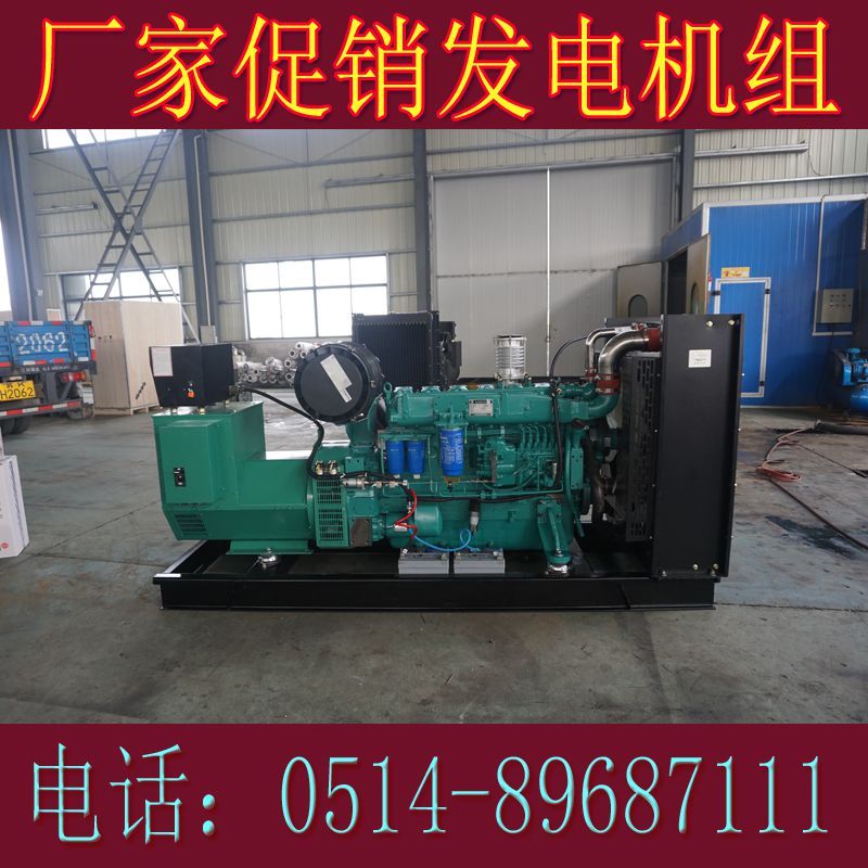 濰柴動(dòng)力200KW柴油發(fā)電機(jī)組WP10D238E200(圖4) 濰柴動(dòng)力200KW柴油發(fā)電機(jī)組WP10D238E200(圖4)
