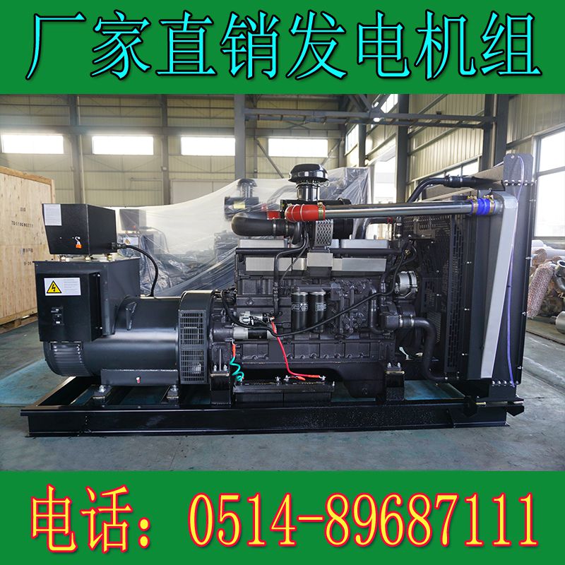 卡得城仕300KW柴油發(fā)電機(jī)組KD13H308(圖4) 卡得城仕300KW柴油發(fā)電機(jī)組KD13H308(圖4)