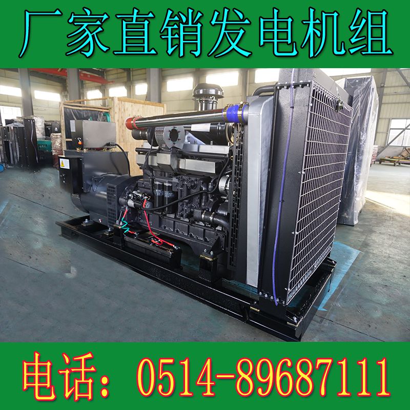 卡得城仕300KW柴油發(fā)電機(jī)組KD13H308(圖2) 卡得城仕300KW柴油發(fā)電機(jī)組KD13H308(圖2)