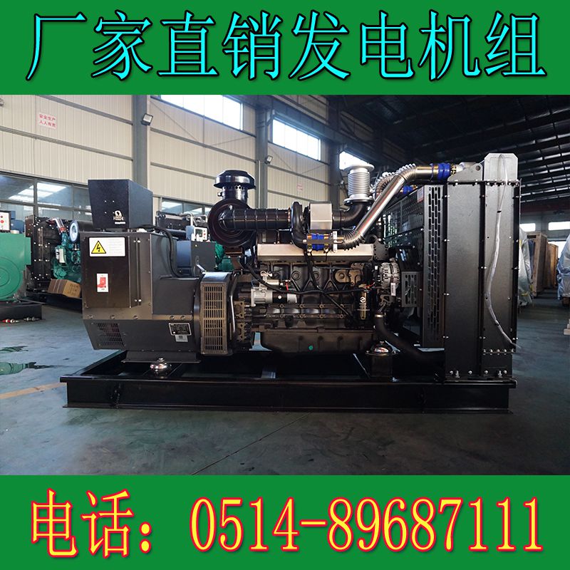 卡得城仕150KW柴油發(fā)電機(jī)組KD8D220D2(圖4) 卡得城仕150KW柴油發(fā)電機(jī)組KD8D220D2(圖4)