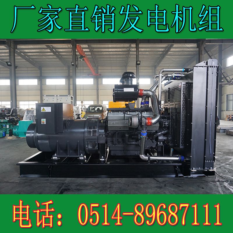 上柴正新800KW柴油發(fā)電機(jī)組12V138CZLD(圖3) 上柴正新800KW柴油發(fā)電機(jī)組12V138CZLD(圖3)