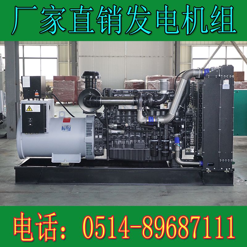 上柴動力300KW柴油發電機組6ETAA11.8-G31(圖2) 上柴動力300KW柴油發電機組6ETAA11.8-G31(圖2)