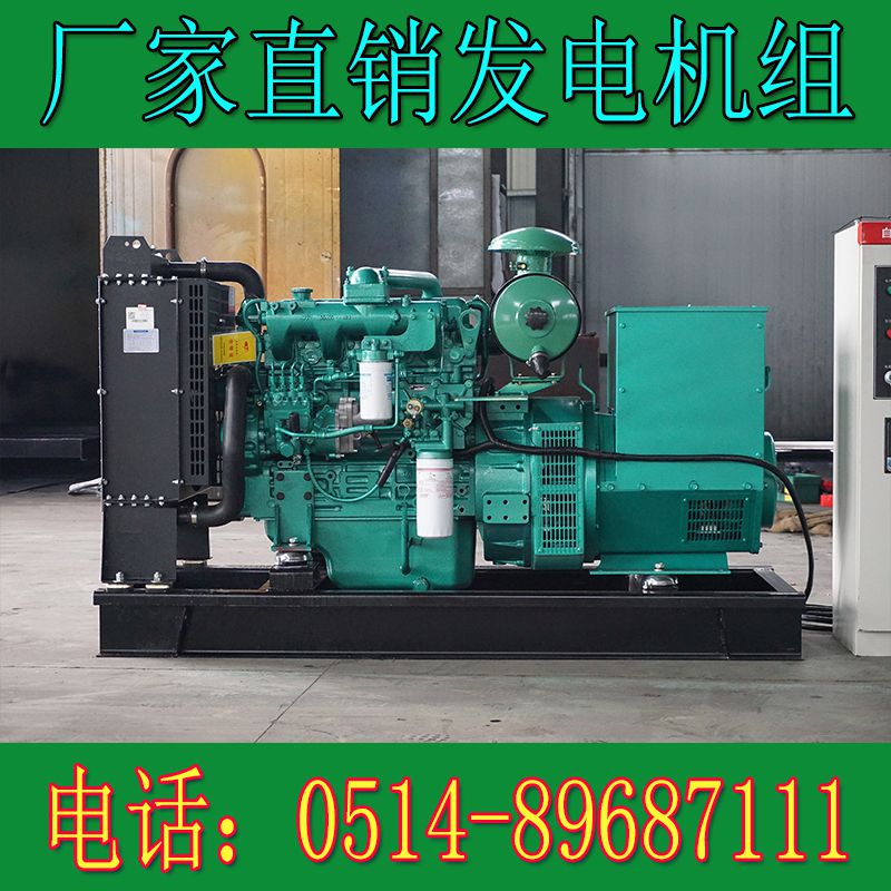 玉柴50KW柴油發(fā)電機(jī)組YCD4V33H