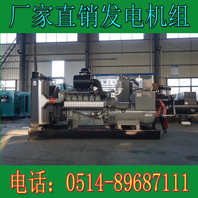 威曼300KW柴油發電機組DE15A50
