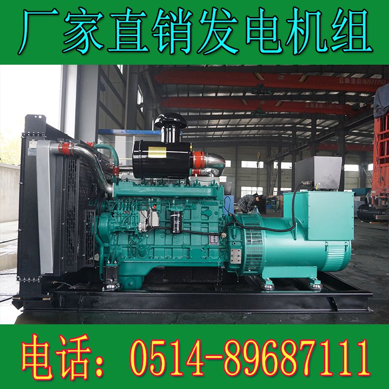 乾能300KW柴油發電機組QN13H38