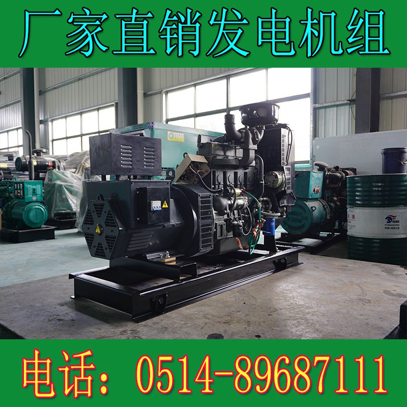 華豐40KW柴油發電機組K4100ZD(圖3) 華豐40KW柴油發電機組K4100ZD(圖3)