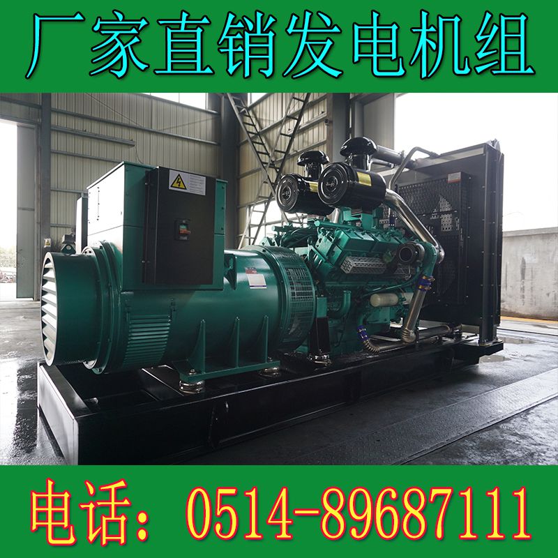 南通股份700KW柴油發電機組TCR700(圖2) 南通股份700KW柴油發電機組TCR700(圖2)