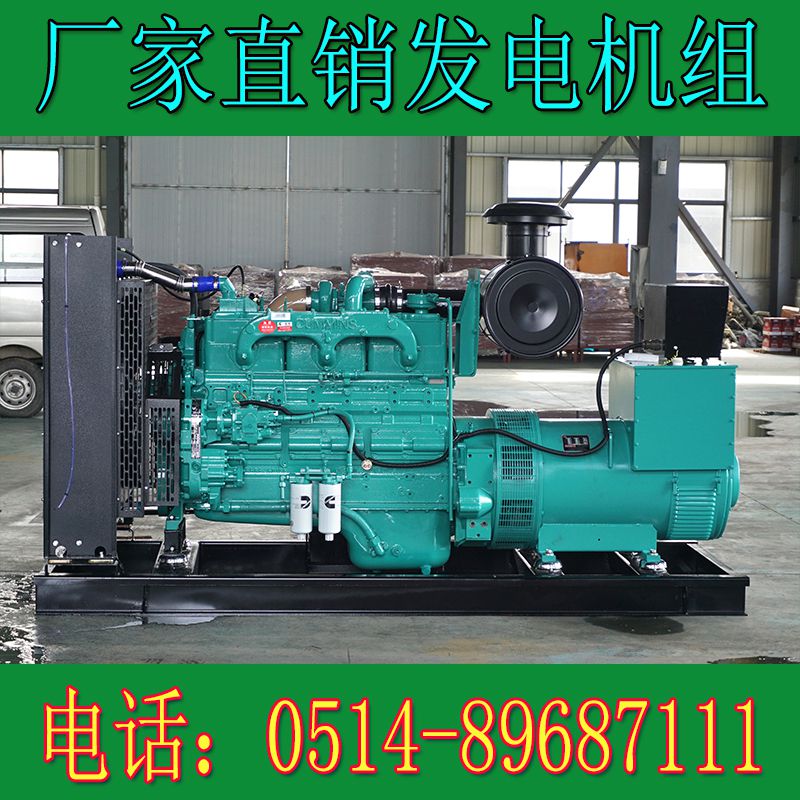 重慶康明斯200KW柴油發(fā)電機組NTA855-G1A(圖1) 1.jpg