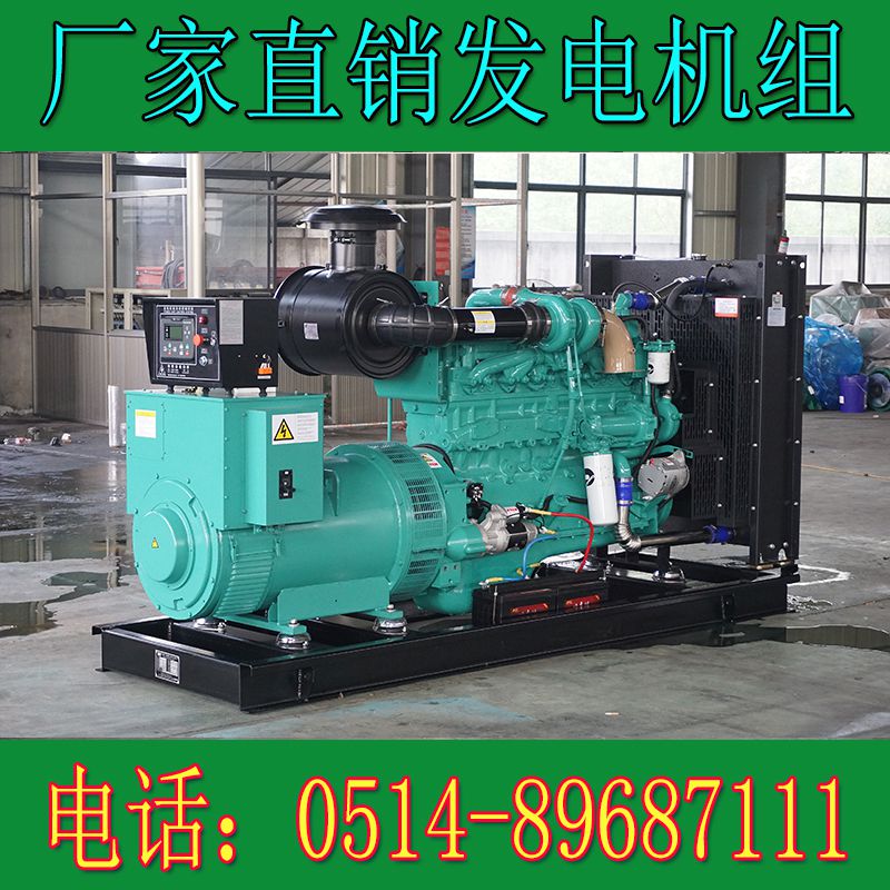 重慶康明斯200KW柴油發(fā)電機組NTA855-G1A(圖4) 4.jpg