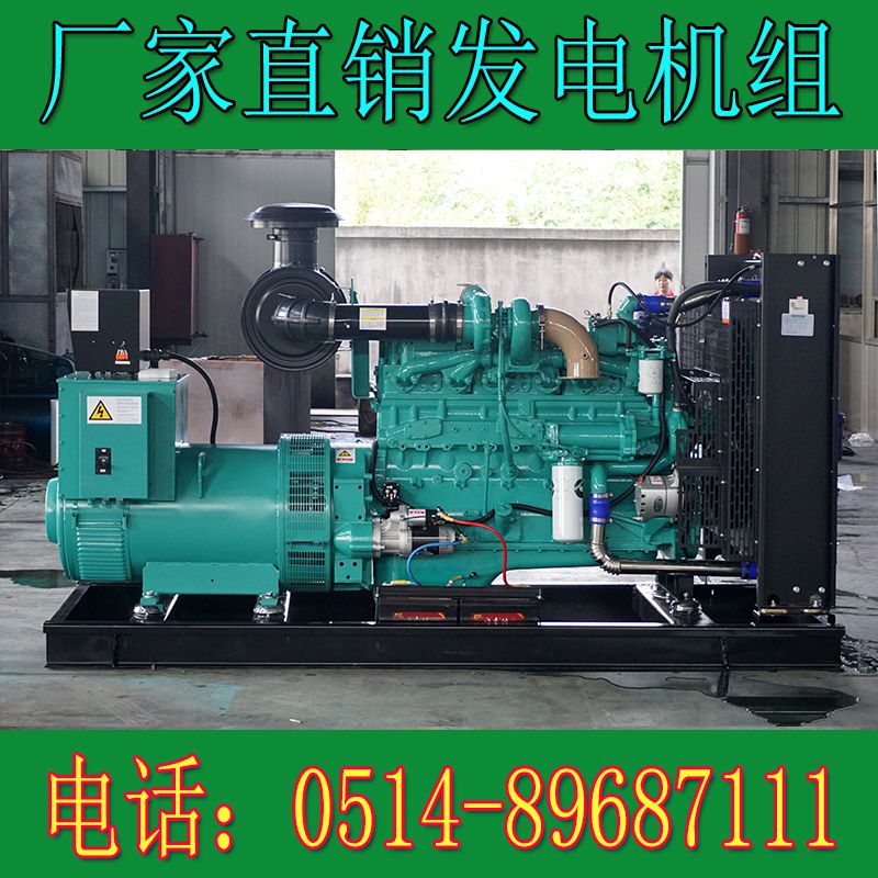 重慶康明斯200KW柴油發(fā)電機組NTA855-G1A(圖3) 3.jpg