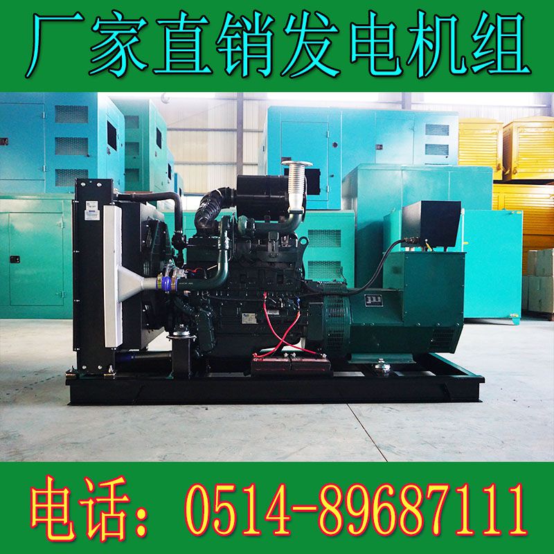 韓國(guó)斗山120KW柴油發(fā)電機(jī)組DP086TA(電子調(diào)速)(圖4) 1.jpg