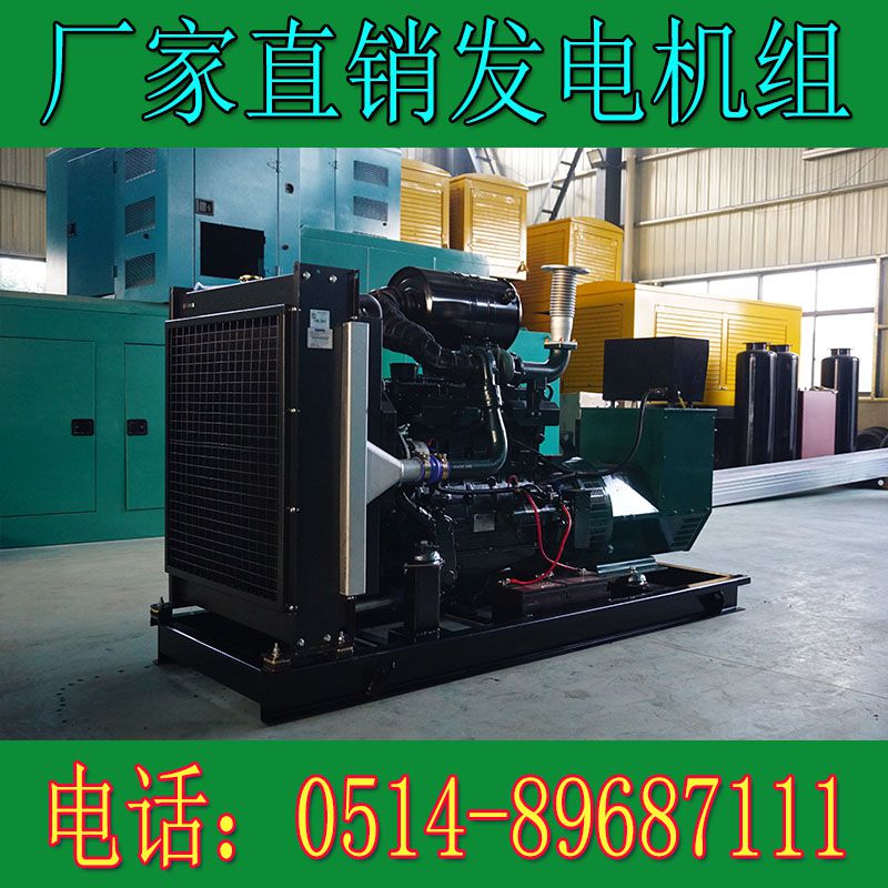 韓國(guó)斗山120KW柴油發(fā)電機(jī)組DP086TA(電子調(diào)速)(圖2) 3.jpg