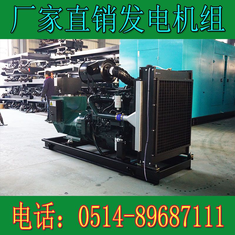 韓國(guó)斗山120KW柴油發(fā)電機(jī)組DP086TA(電子調(diào)速)(圖3) 2.jpg