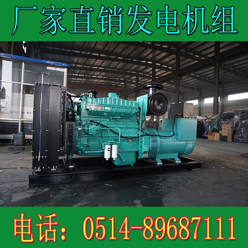 重慶康明斯300KW柴油發電機組NTA855-G4(圖1) 1.jpg