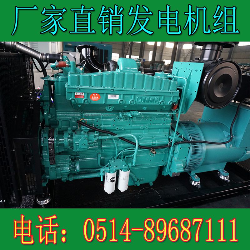 重慶康明斯300KW柴油發電機組NTA855-G4(圖4) 4.jpg