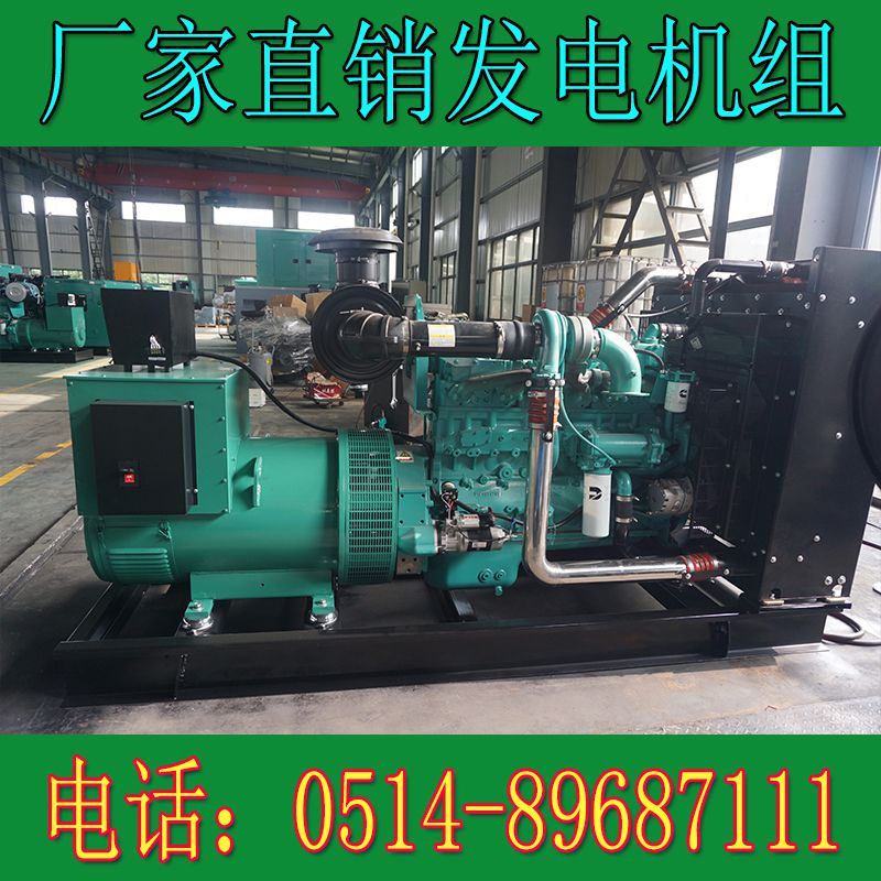 重慶康明斯400KW柴油發(fā)電機(jī)組QSNT-G4X(圖3) 3.jpg
