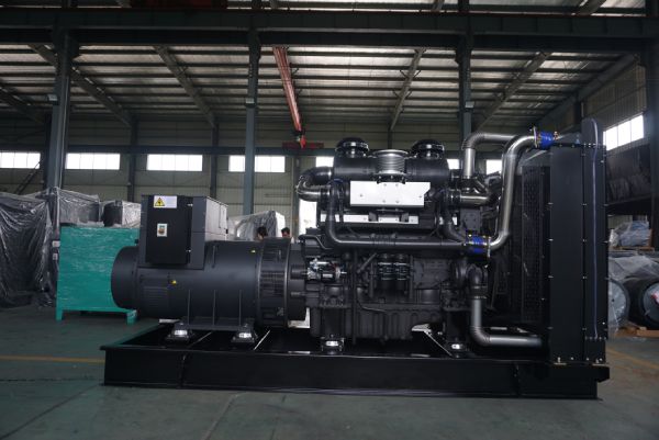 柴油機工作溫度高是加劇發電機磨損的因素之一(圖1) DSC07506.jpg