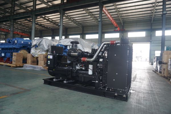 發電機組必須按照正常的拆卸步驟進行(圖1) DSC08142.jpg