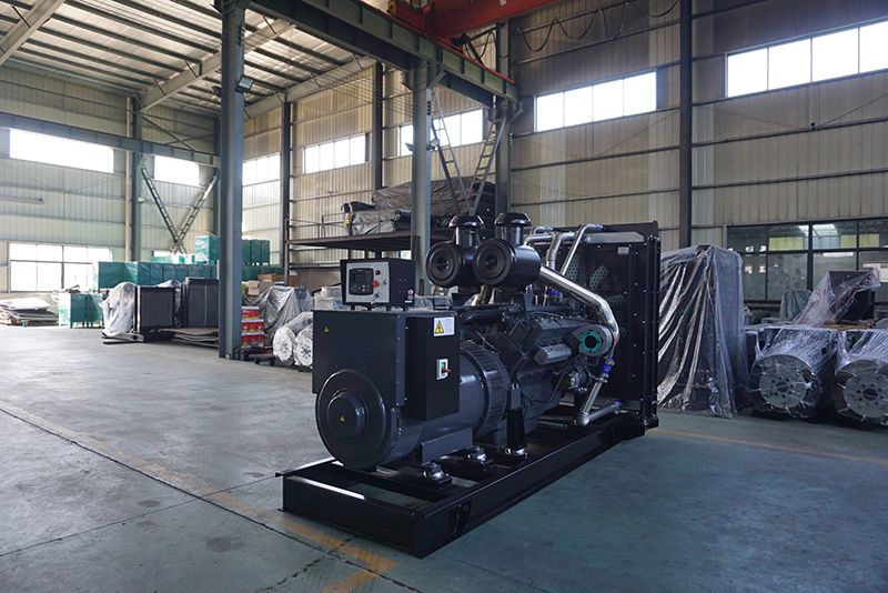 輸油泵發生什么原因會使小型發電機組無法運行(圖1) DSC08975.jpg