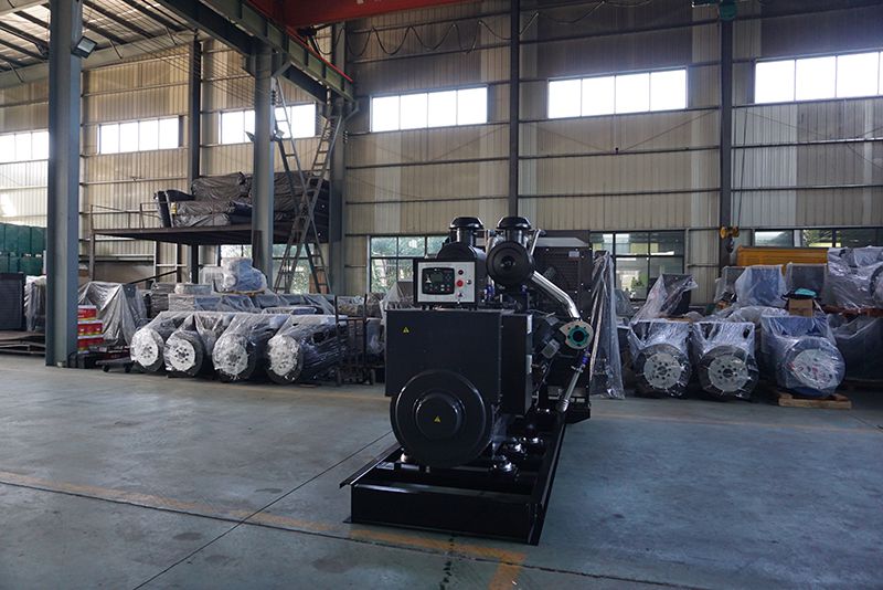 康明斯柴油發電機組輸油泵出現故障的解決方案(圖1) DSC08976.jpg