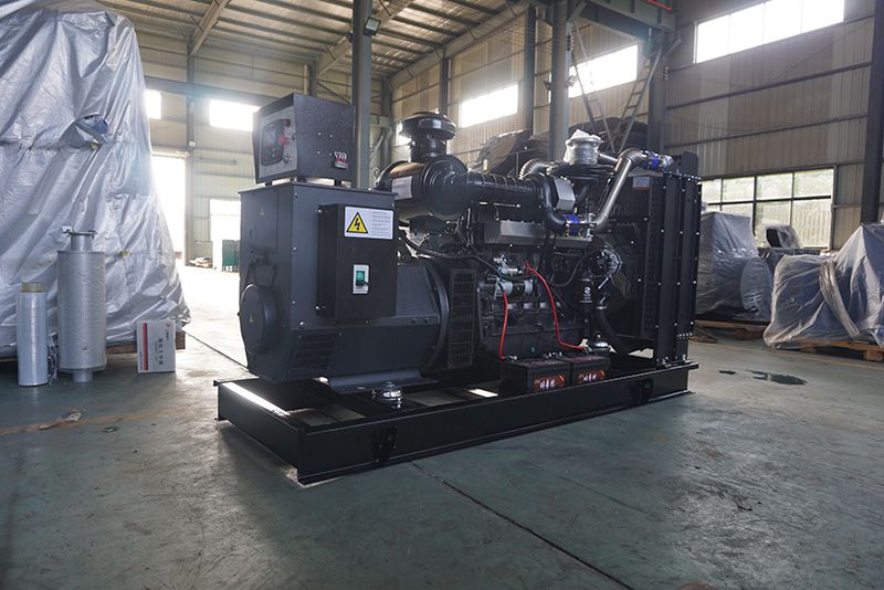 柴油發電機組常見故障形成的外部因素(圖1) DSC08043.jpg